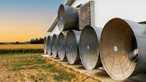 Poultry-upgrade-farm-e-line-768