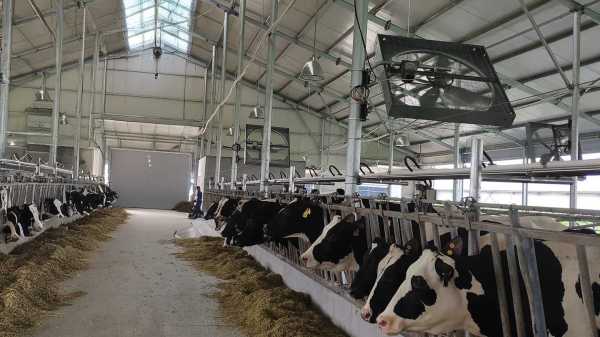 Munters Euroemme MFS circulation fan