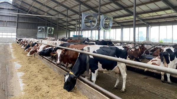 Munters Euroemme Saturn Breeze circulation fan