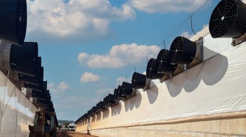 Top 5 greenhouse climate control improvements growers often overlook