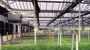 Greenhouse-heating-solutions-768