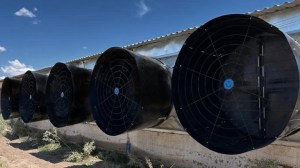 Pigs-saturn-five-ventilation-solutions-768