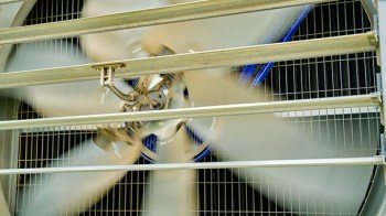 ErP 2026: what poultry producers need to know before upgrading ventilation