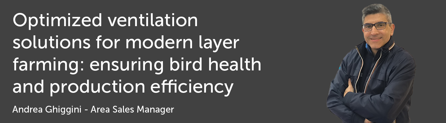 Experts corner - graphic