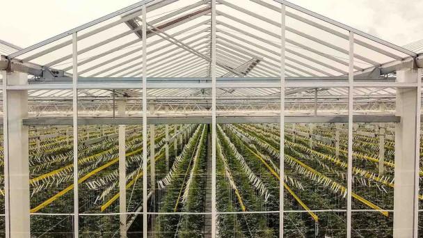 Greenhouse-climate-solutions-1440_cc09ea