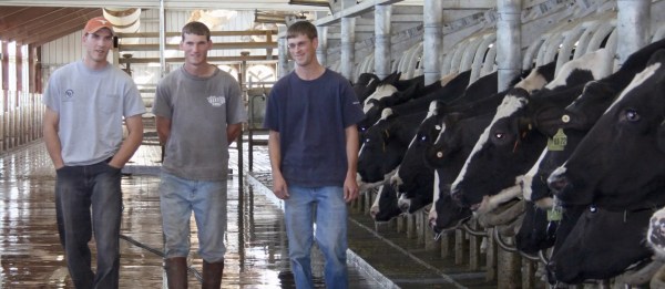 van-ess-dairy-usa-1