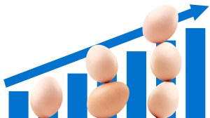 Poultry-layers-eggs-production-768