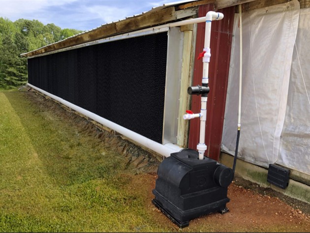 NA Swine-celdek-cooling-pads-768