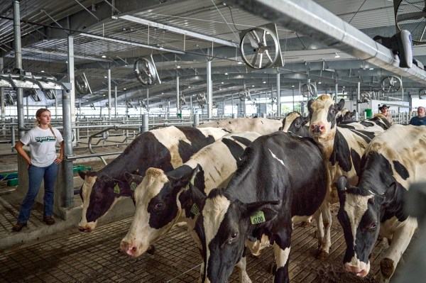 Preparing for End-of-Year Events: Setting the Stage for a Climate-Controlled Future in Agriculture