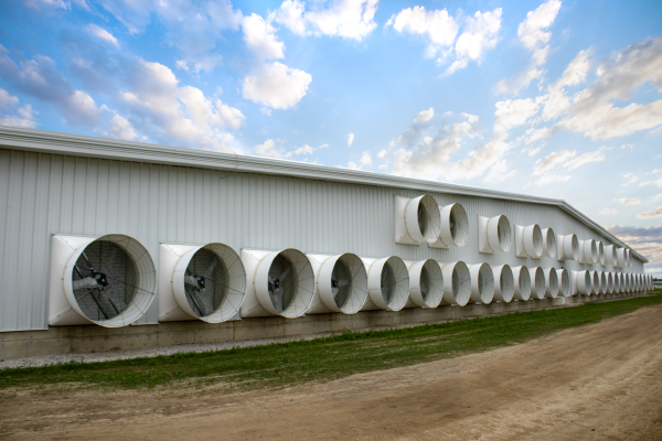 Climate Solutions in Action: Supporting Dairy Excellence at Michigan State University