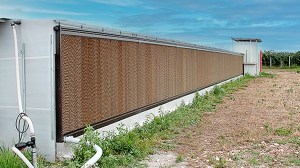 Pigs-celdek-cooling-pads-768