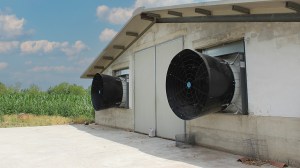 Poultry-combi-tunne-broiler-768