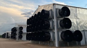 Poultry-combi-tunnel-layer-768