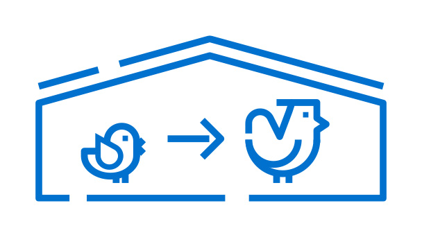 Poultry-farm-icon-608