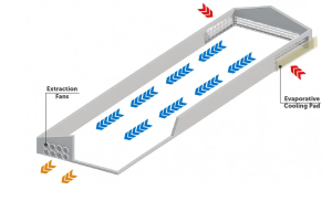 Tunnel-Ventilation_f0e33b
