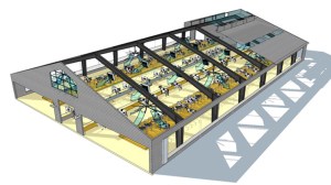 Dairy-open-barn-768
